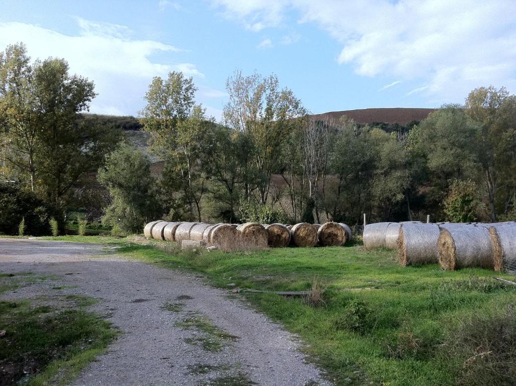 Farm stay Taverna Centomani *