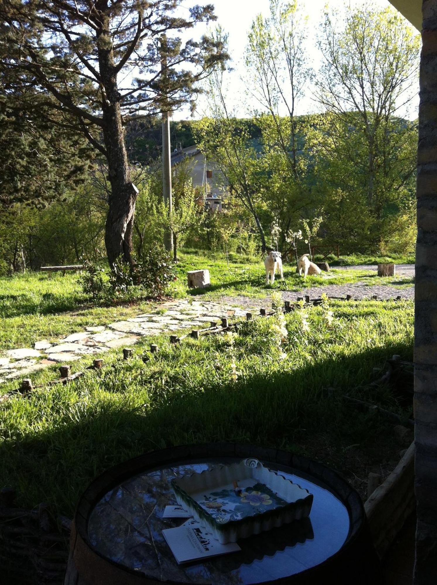 Farm stay Taverna Centomani *